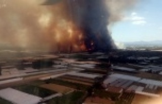 Antalya'da orman yangını