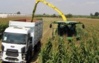 Antalya’da yılın ilk silaj üretimi başladı