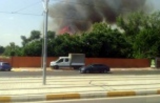 ANTBİRLİK alanında çıkan ot çalı yangını...