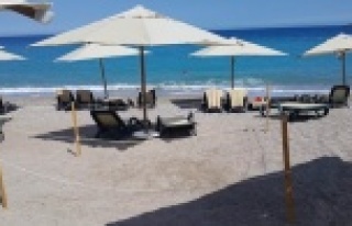 Beş yıldızlı caretta caretta yuvaları