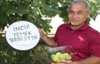 İncirlerinden kimse yemeyince bahçesine tabela astı
