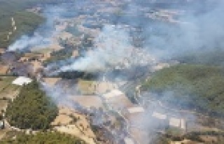 Komşuda orman yangını