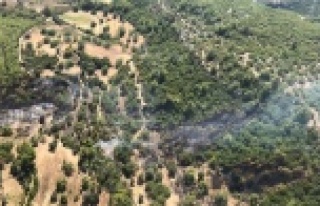 Komşuda yangın! 1 hektar alan küle döndü