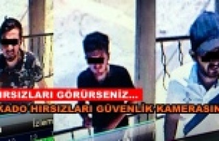 Muhtar, avakado hırsızlarını teşhir etti