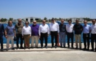 Serbest Bölge alanı 782 bin 481 metrekareye ulaştı