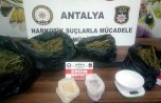 9 kilo 800 gram esrar ele geçirildi