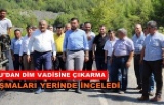 Ak Parti Dim Vadisindeydi