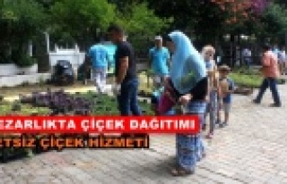 Alanya Belediyesi çiçek dağıtacak