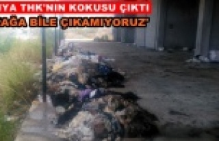 Alanya THK vatandaşları isyan ettirdi