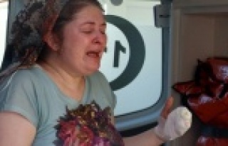 Antalya'da ağlatan yangın