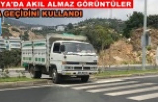 Kamyoncu 'pes' dedirtti