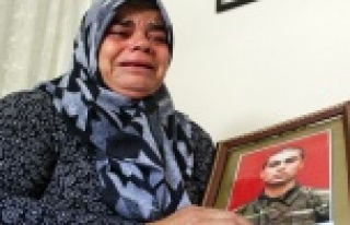 Şehit annesine akraba vurgunu iddiası