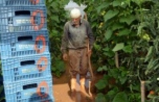 Sel sonrası seralara giren üreticileri gördükleri...
