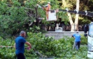 Simitçinin dikkati faciayı önledi