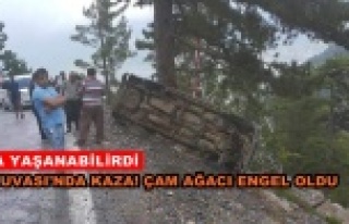 Uçuruma yuvarlanan aracı çam ağacı böyle kurtardı