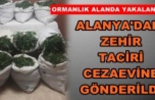 Uyuşturucu operasyonunda 1 tutuklama