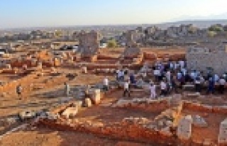 2 bin 200 yıllık zeytinyağı şehri, gün yüzüne...