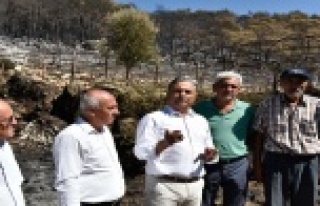 70 hektar orman, 100 dönüm sera zarar gördü