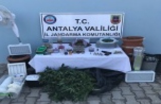 Alanya’da iki ayrı adrese uyuşturucu baskını