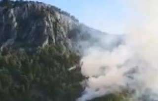 Antalya’da orman yangını