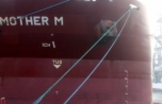 İki gemiye 221 bin 884 TL para cezası