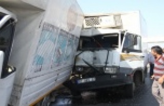 Kamyonetler çarpıştı: 1 yaralı