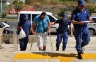 Koltuk değnekli zehir taciri