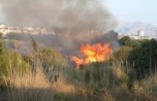 Konyaaltı sahiline yakın alanda orman yangını