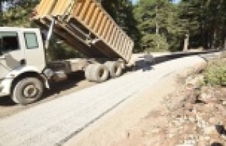 Muhtardan Yücel'e asfalt teşekkürü