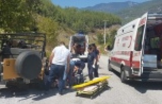 Safari faciasında korkunç gerçek