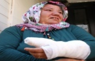 "Yazıklar olsun" dedirten haber