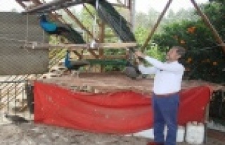 Çiftliğini müzeye çevirdi