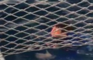 Denizden balıkçılar kurtardı