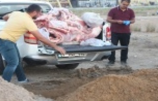 350 kilo kaçak et  Alanya'ya getiriliyordu