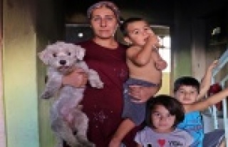 Sadece havlamamış, kahvehaneye gidip adam toplamış