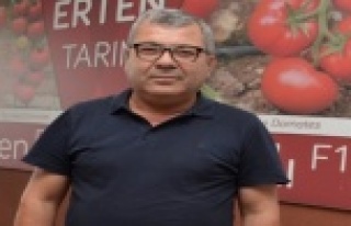 Sera üretimi, domates fiyatlarını düşürecek