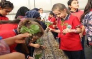 Yeşeren çocuklar' projesi 45 çocukla start...