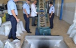 Zabıta zeytinyağı fabrikalarını denetledi