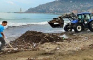 Alanya Belediyesi sahil temizliğinde
