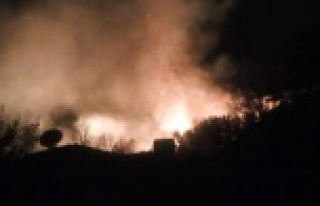 Alanya'da gece yangın kabusu