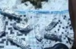 Alanya'da şüpheli araçtan uyuşturucu çıktı