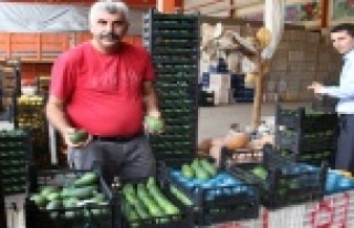 Alanya Rusya ve Ukrayna'ya avokado yetiştiremiyor
