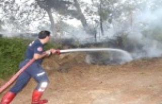 Antalya’da orman yangını