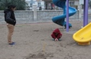Çocuk parkında dehşete düşüren hayvana işkence...