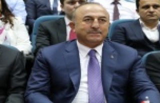 Dışişleri Bakanı Çavuşoğlu, “Cesedin parçalanması...