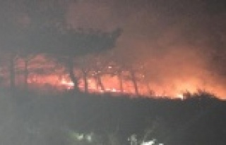 Gazipaşa'da yangın paniği