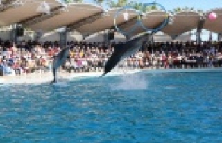 Türel’den öğrencilere özel motivasyon