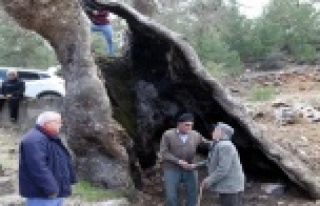 Yıldırım düştü, vatandaş yaktı ama 700 yıldır...