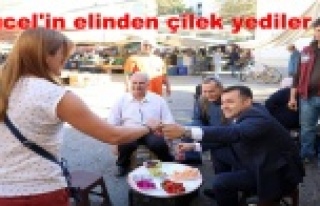 Yücel'in Cuma Pazarı çıkarması