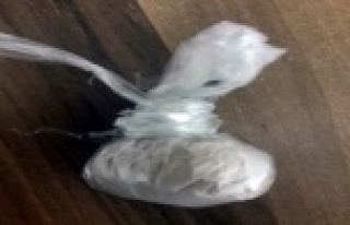 Alanya'da uyuşturucu operasyonu: 2 şüpheli...